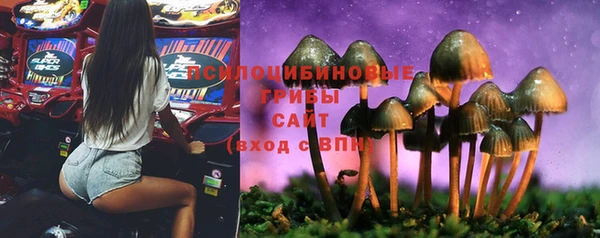 марки nbome Беломорск